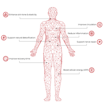 Explore Therapy Benefits