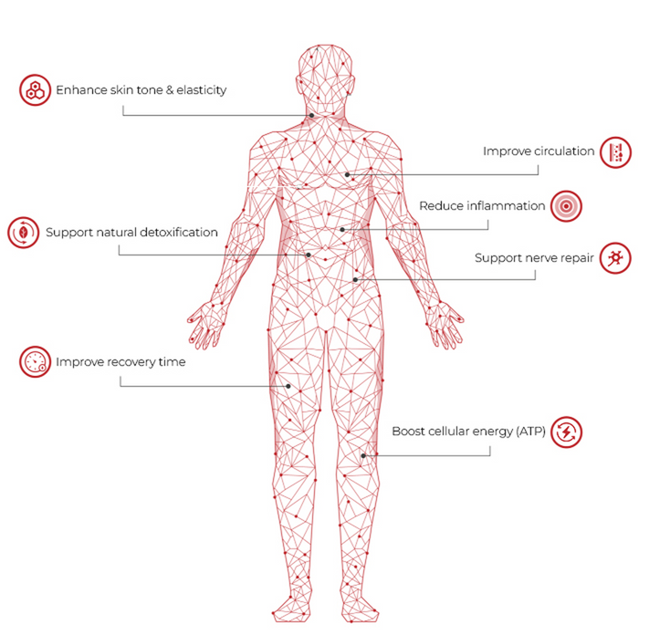 Explore Therapy Benefits