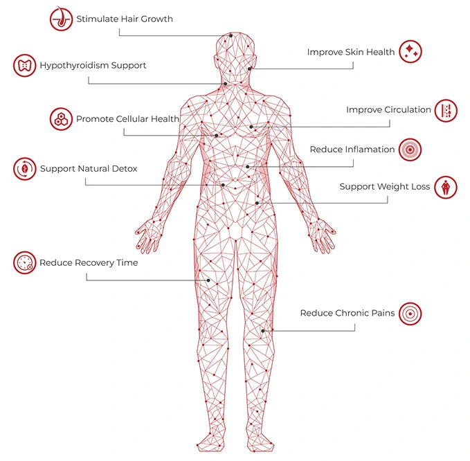 Explore Therapy Benefits